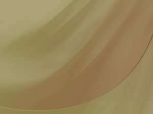 人才招聘